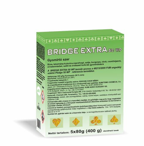 Bridge Extra