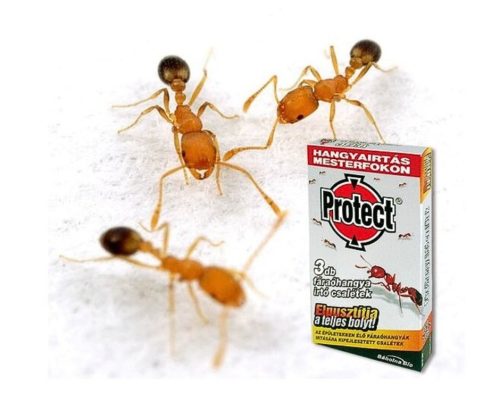 Protect fáraóh.irtó csali    3 * 2,5 g