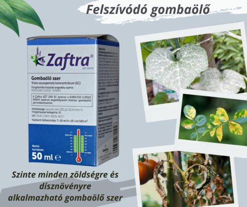 Zaftra /Amistar/    0,05