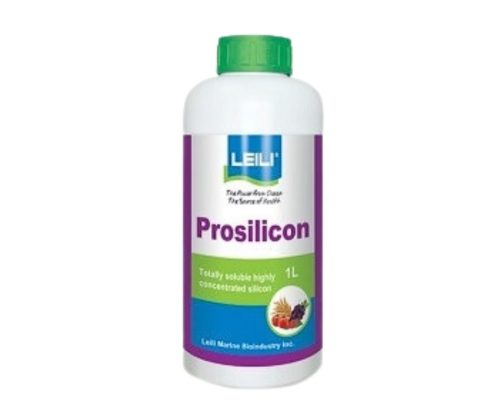 Prosilicon    1/1