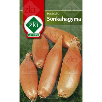 ZKI Sonkahagyma 