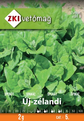 ZKI Új-Zélandi