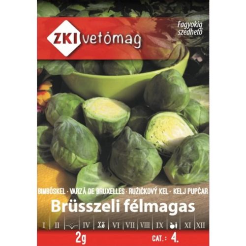 ZKI Brüsszeli félmagas
