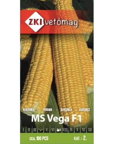 ZKI MS Vega F1