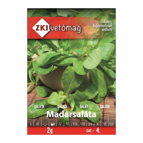 ZKI Madársaláta