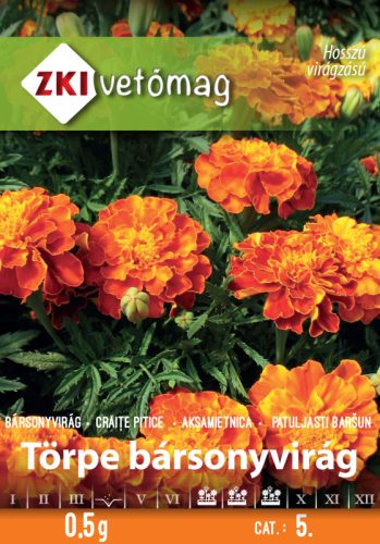 ZKI Törpe bársonyvirág