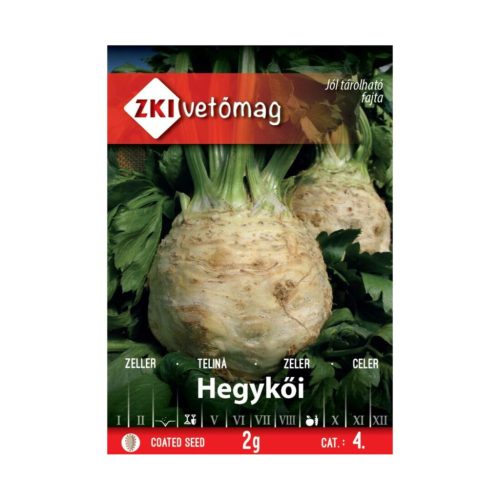 ZKI Hegykői