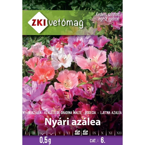 ZKI Nyári azálea