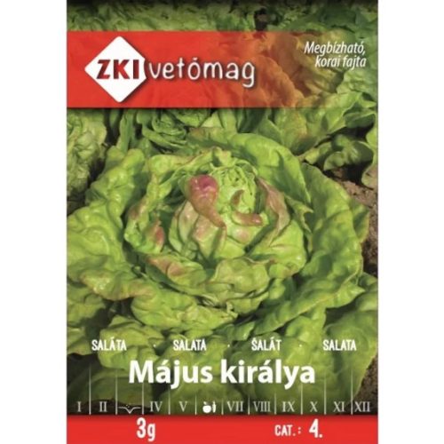 ZKI Májusi király