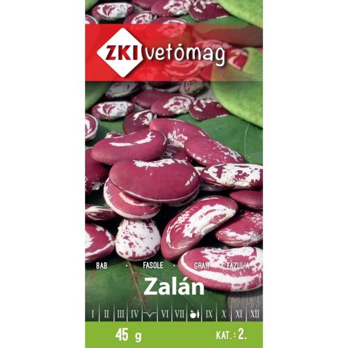 ZKI Zalán