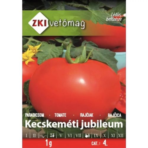 ZKI Kecskeméti jubileum