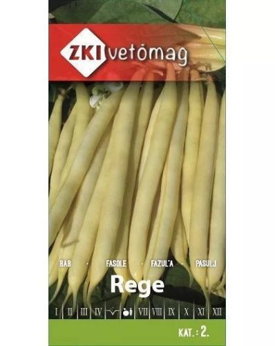 ZKI Rege
