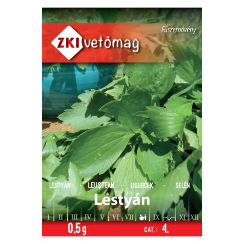 ZKI Lestyán
